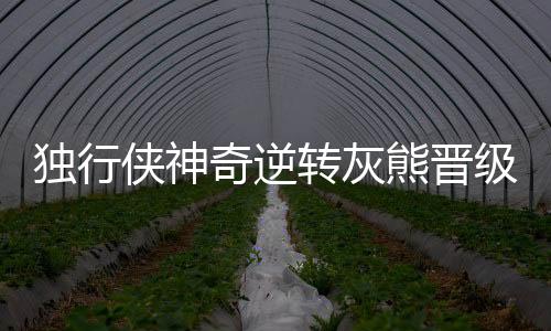 独行侠神奇逆转灰熊晋级 KD伤退太阳轻取马刺