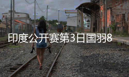 印度公开赛第3日国羽8胜6负 王祉怡韩悦顺利进8强