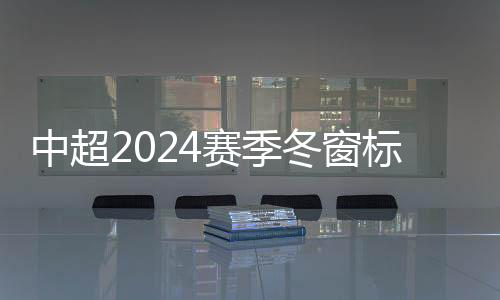 中超2024赛季冬窗标王：外援泽卡 内援谢鹏飞