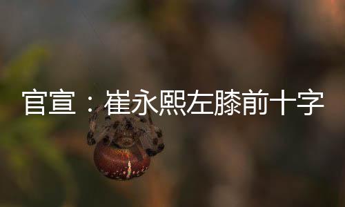 官宣:崔永熙左膝前十字韧带撕裂 本赛季报销