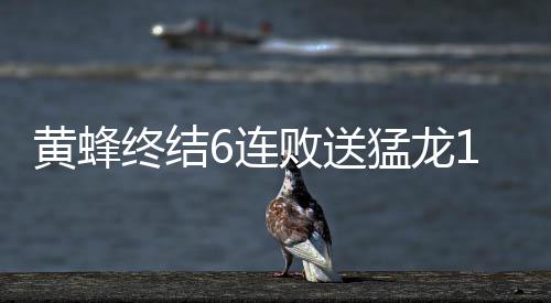 黄蜂终结6连败送猛龙11连败 骑士送黄蜂5连败